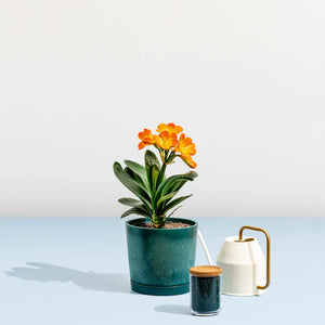 Maritime Plastic Planter - Made of 100% Recycled Plastic (Indoor/Outdoor)