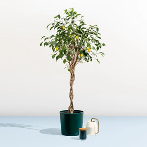 Maritime Plastic Planter - Made of 100% Recycled Plastic (Indoor/Outdoor)