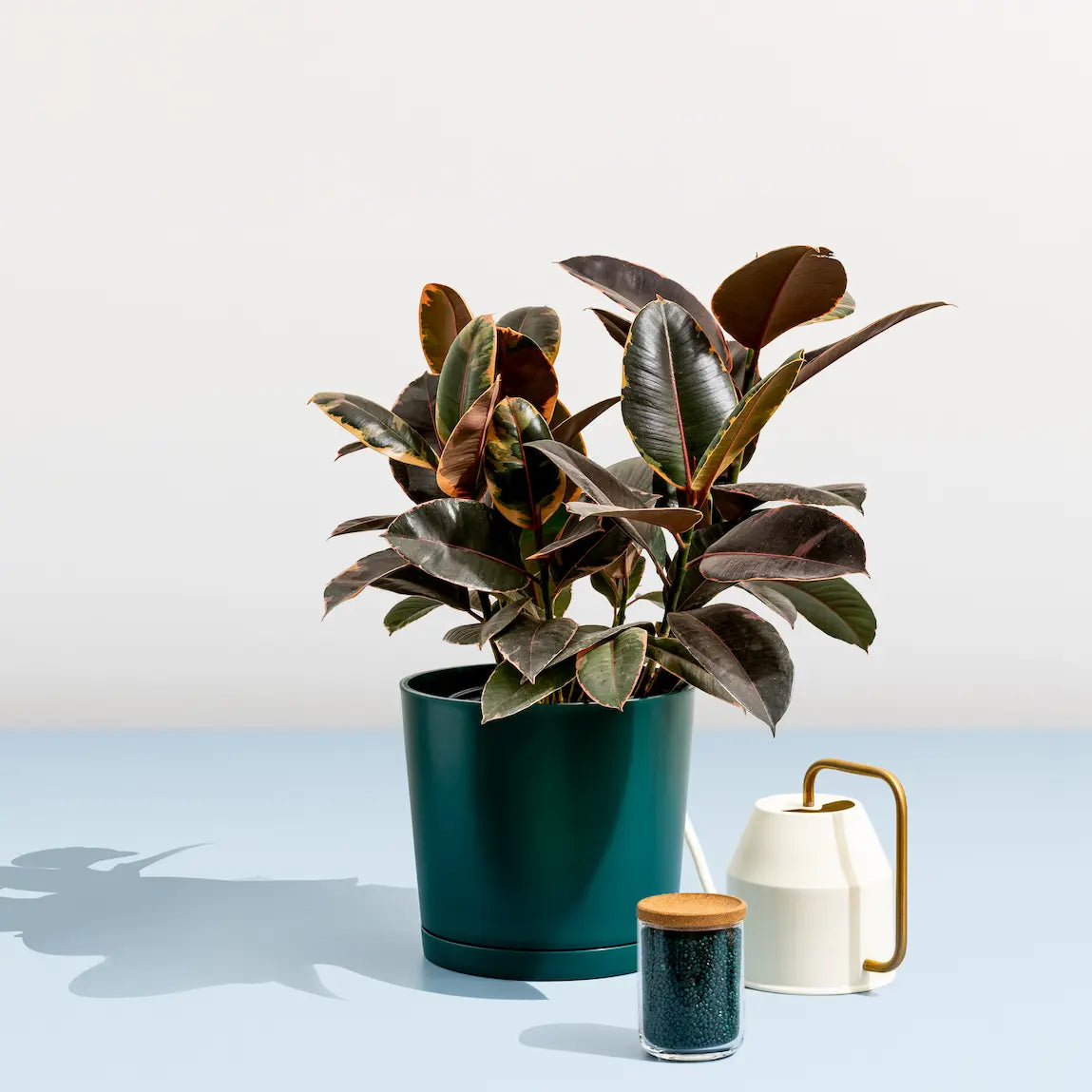 plant made plastic Maritime Plastic Planter - Made of 100% Recycled Plastic (Indoor/Outdo