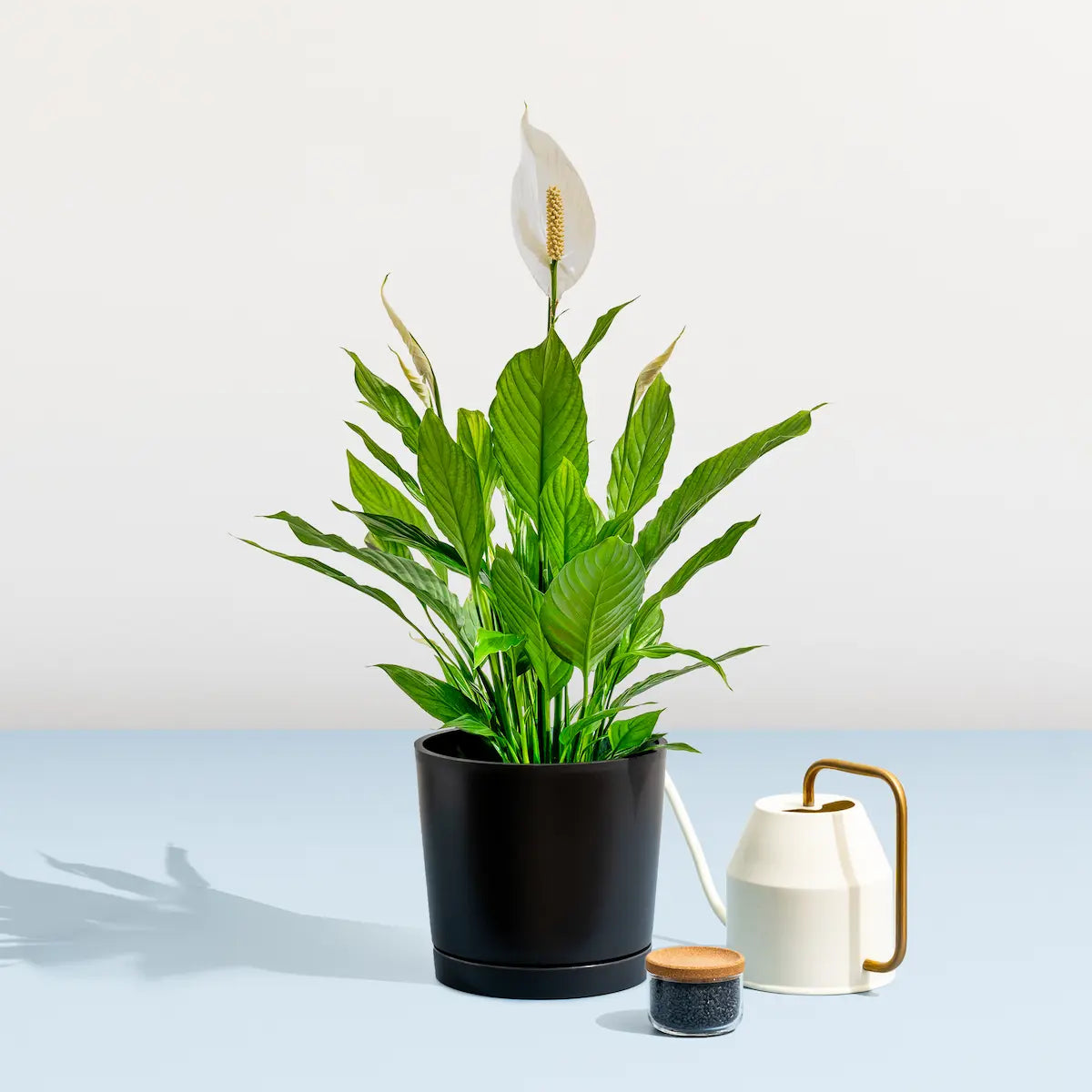 Indoor/Outdoor Fair Trade Planter, 100% Recycled Plastic