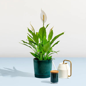 Maritime Plastic Planter - Made of 100% Recycled Plastic (Indoor/Outdoor)